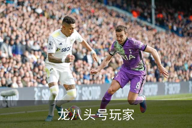 龙八头号玩家公司简介